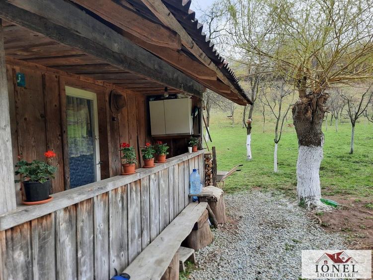 Vanzare teren 4544 mp in Almasu Mare - 8