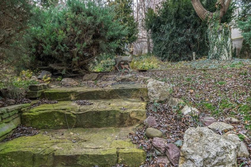 Vila eleganta, spatii generoase, finisaje premium, piscina, 3000mp - 4