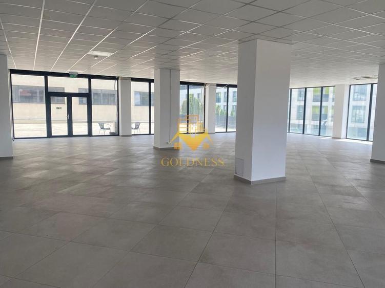 Spatiu comercial, Cartier Dambul Rotund, Lombului, Corneliu Coposu. - 1