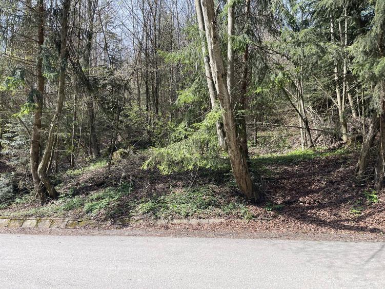 Teren deosebit de vânzare în Sinaia – cartier exclusivist Furnica. - 5