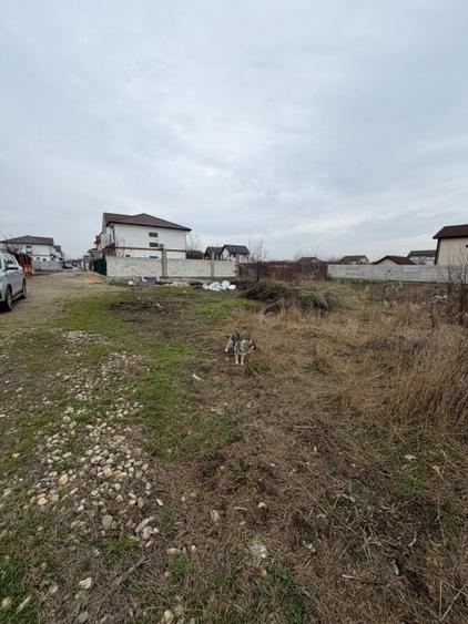 Teren Intravilan de Vanzare Aeroportului Cornetu - 3