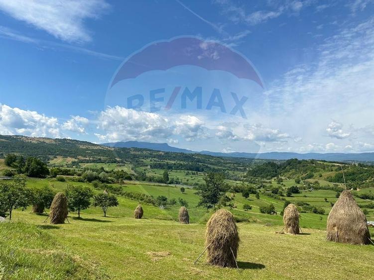 Vanzare ansamblu de 5 casute traditionale Maramures/ Botiza - 10