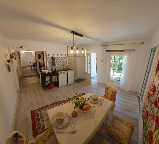 Casa individuala 160 mp - Moneasa Jud. Arad - 1