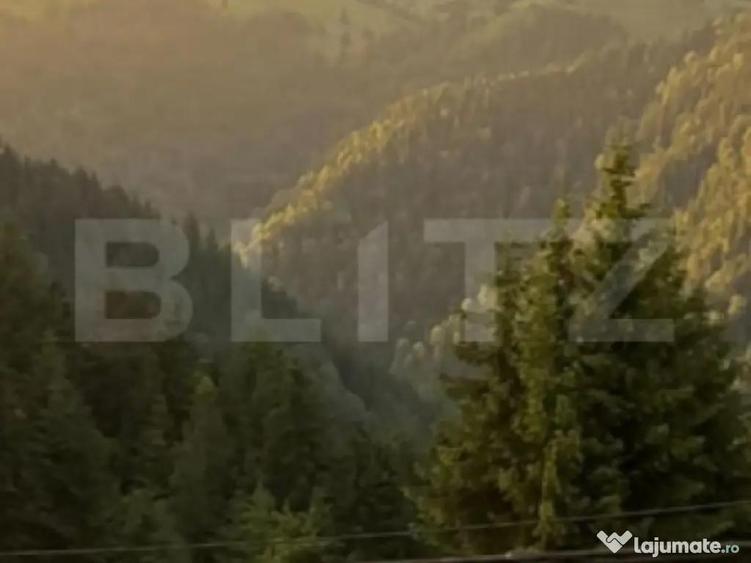 Teren intravilan, front la strada, 3321mp, utilitati, Marise - 5