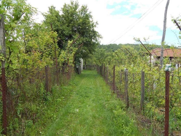 Casa bunicilor la tara - 2