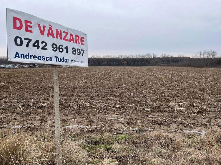 3.65 hectare teren partial intravilan Ciuperceni de vanzare, front 100 m la asfalt, ceas curent trifazic, construibil, plat - 6