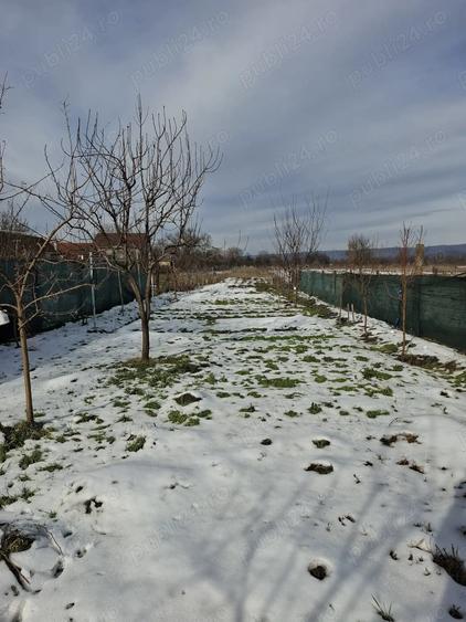 Casa cu spa?iu comercial - 8