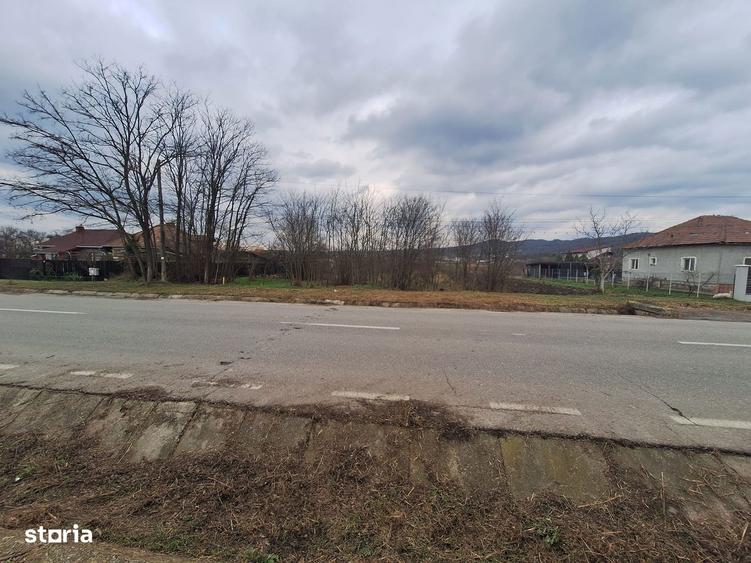 Teren str Balciului la strada ideal pt hale si casa - 3