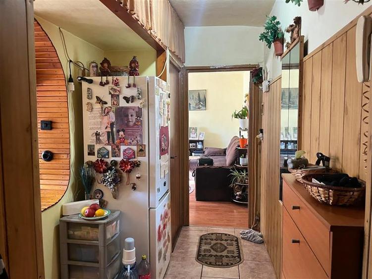 Lugoj, Ap. 2 Cam. Et. 2  Zona Unic - 15