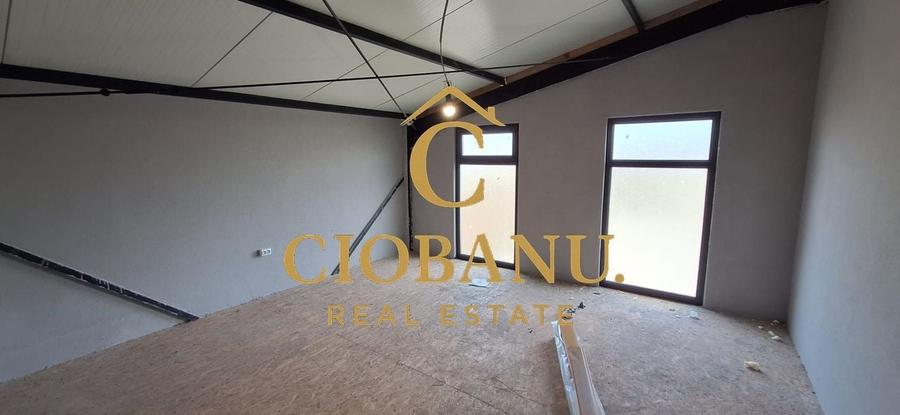 Hala de vanzare in Racari de Jos - 6