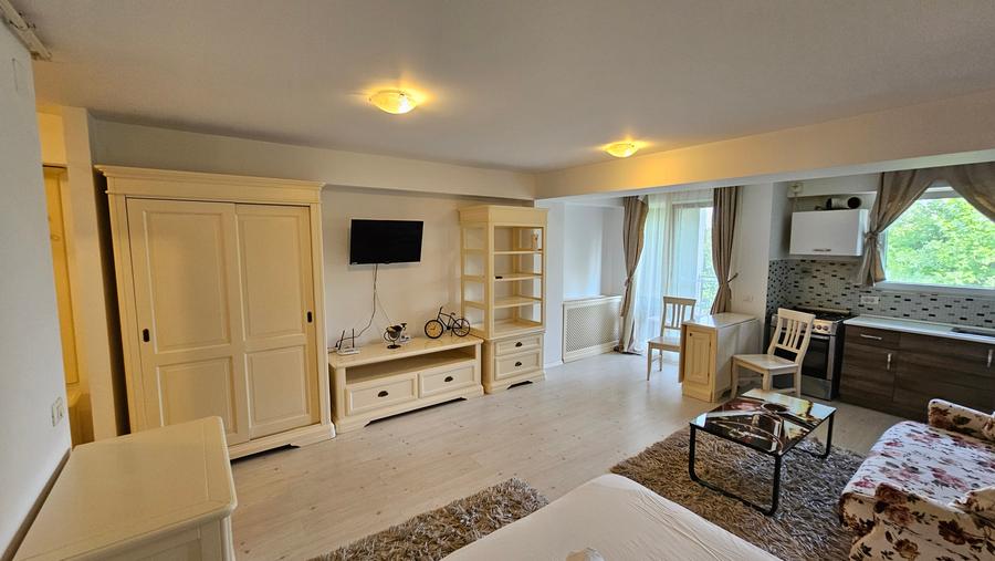 Garsoniera zona Otopeni (Aeroport) bloc NOU, Mobilata-Utilata MODERN - 7