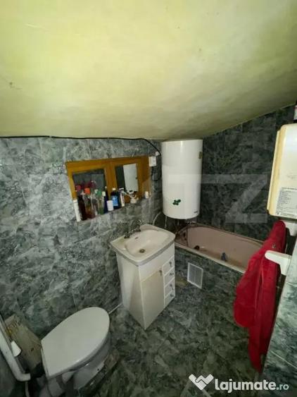 Casa de vanzare, cu 3 camere, 191 mp, la 3 km de Ha?eg - 14