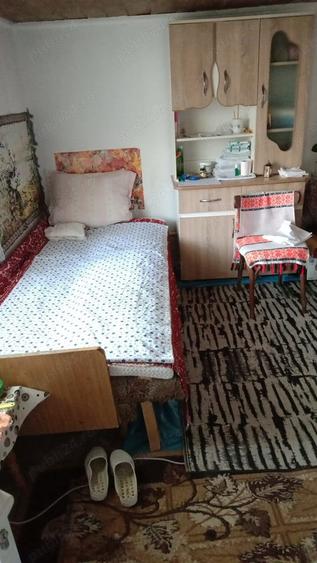 Casa de vinzare ,2 camere ,anexe - 3