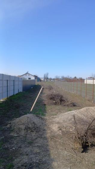 De vanzare 500mp intravilan la asfalt - 1