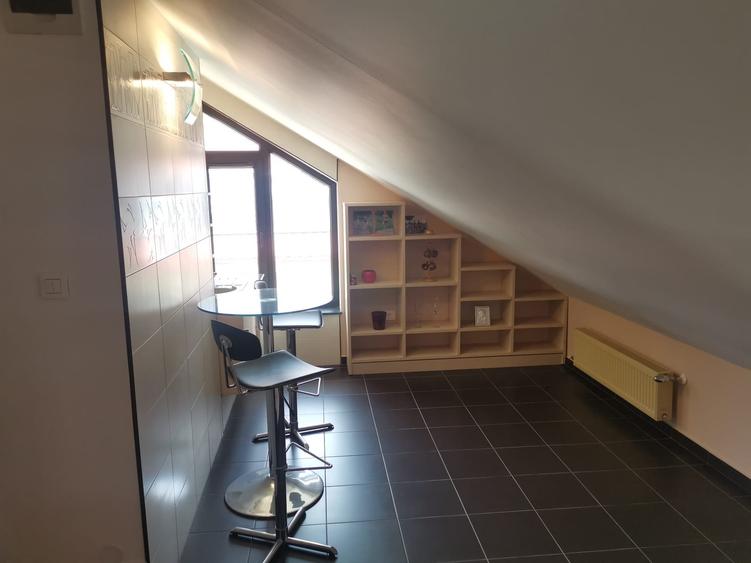 casa/vila P+1+M , STEFANESTI, teren 749 mp, finisaje superioare, mobilata - 36