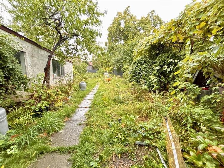 Casa 5 camere | Curte | Renovata 2025 | Codrul Cosminului - 15