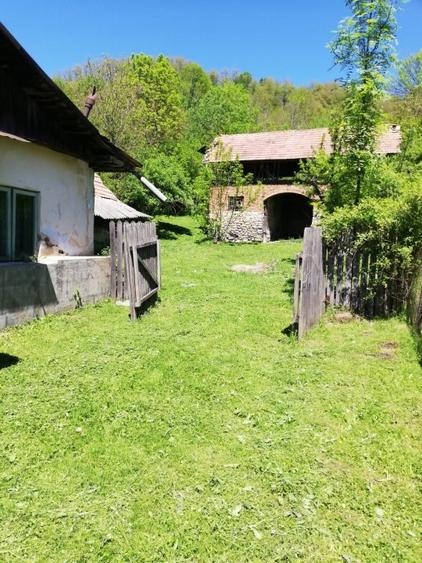 BEZDEAD - Conac 350 mp + 4800 mp teren - 9