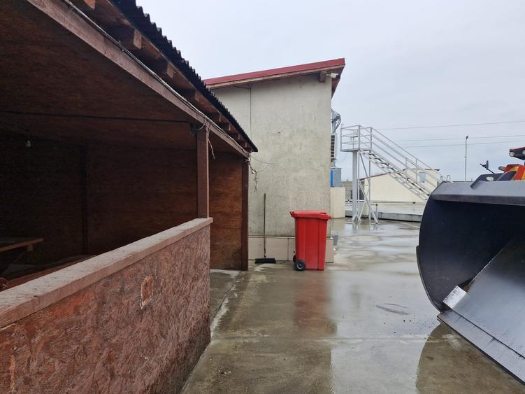 EXCLUSIVITATE! Afacere - Depozit cereale - Lumina-380.000 euro (Cod E8) - 16