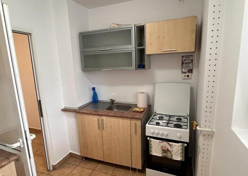 Apartament 3 camere Campia Libertatii - 5