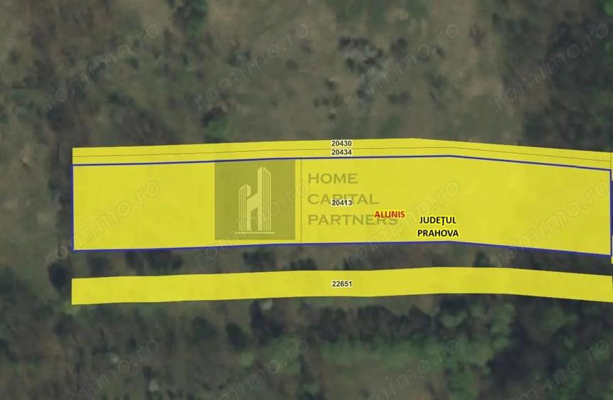 Teren de vanzare 9.845 mp in mijlocul naturii, Aluni?, Prahova - 4