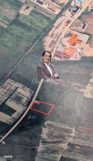 Bocsa 2 terenuri INTRAV. 1500 Mp(15 900 Euro) si 3000 Mp.(30.900 Euro) - 1