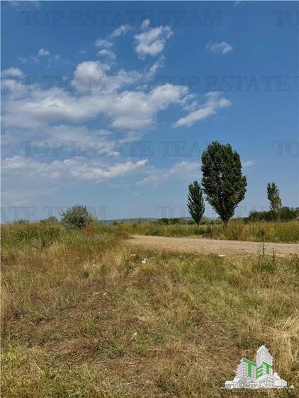 Teren industrial 7.200 mp / DN1B  Zona showroom-uri auto / Deschidere 28 m - 15