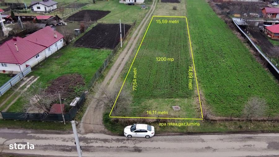 Teren 1200 mp Vadurele - comuna Alexandru cel Bun , cu utilitati - 8