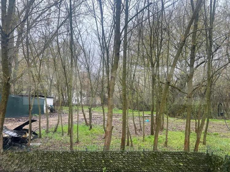 Casa, Breasta, 192mp, teren 1021mp - 12