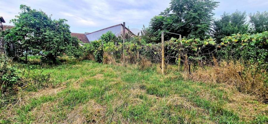 Casa cu teren de 750 mp, Chisineu Cris - 18