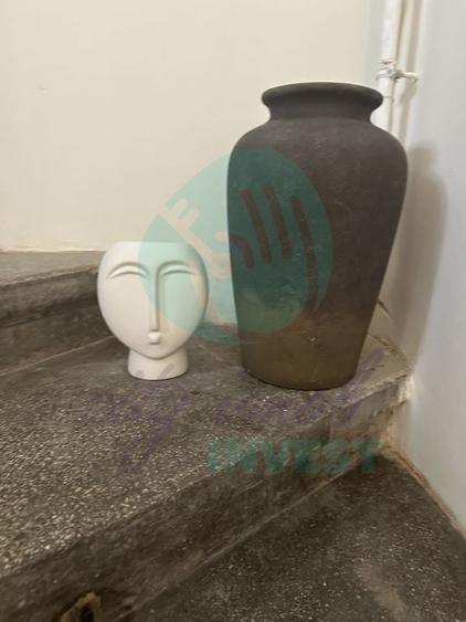 Vila interbelica AIRBNB "la cheie" - 27