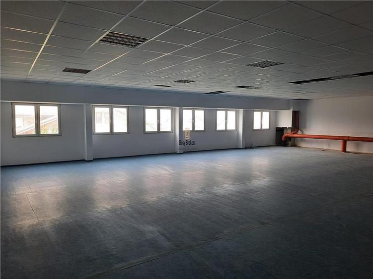 Spatiu Industrial - 5000 mp - Productie - Depozitare - 13