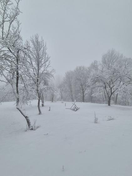 Vand 1200 mp teren parcelabil in Valea Doftanei . Prahova - 2