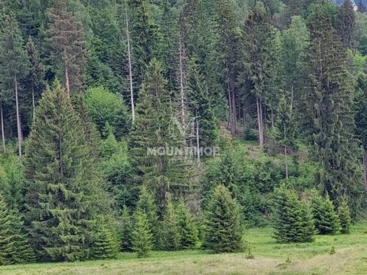 Teren intravilan &icirc;n Poiana Brașov, 0% COMISION - 4