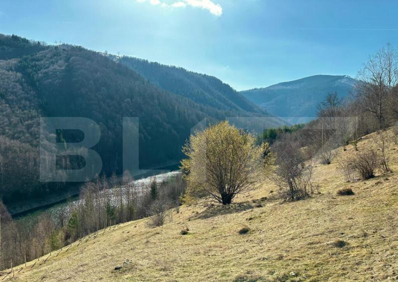 Teren 14 ha compact langa Lacul Tau Bistra - 14