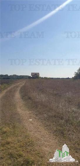 Teren intravilan 511mp in Corbeanca - 3