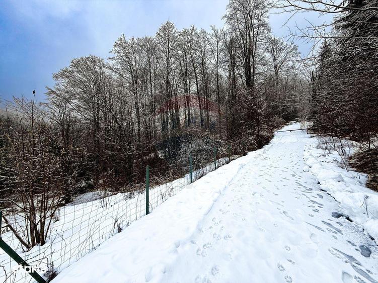 Teren 1,794mp Moroeni / Strada Lespezi - 6