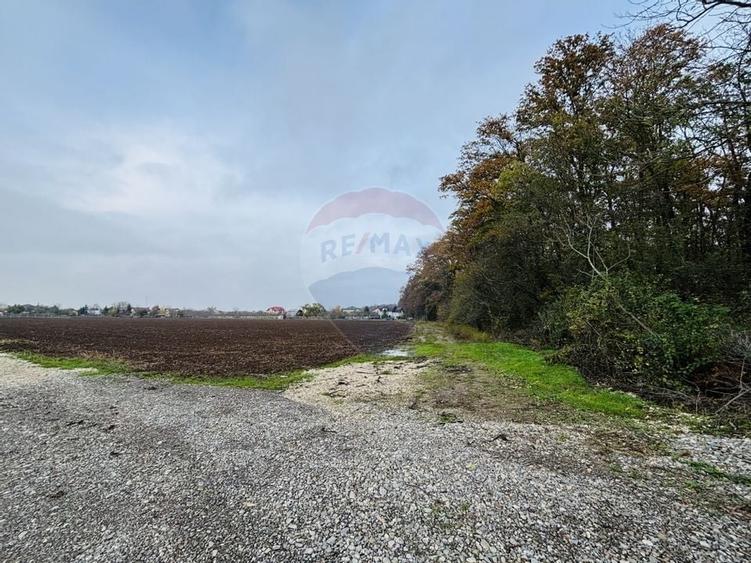 Teren 2,000mp Ciolpani / DN Izvorani - 2