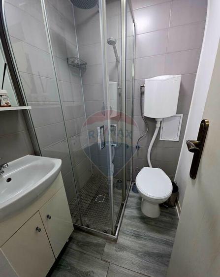 Apartament cu 1 camere de inchiriat in zona 1 Mai - 9