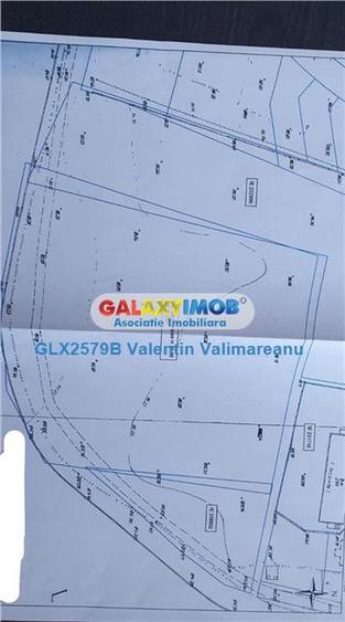 Teren Straulesti VI 146 - 3