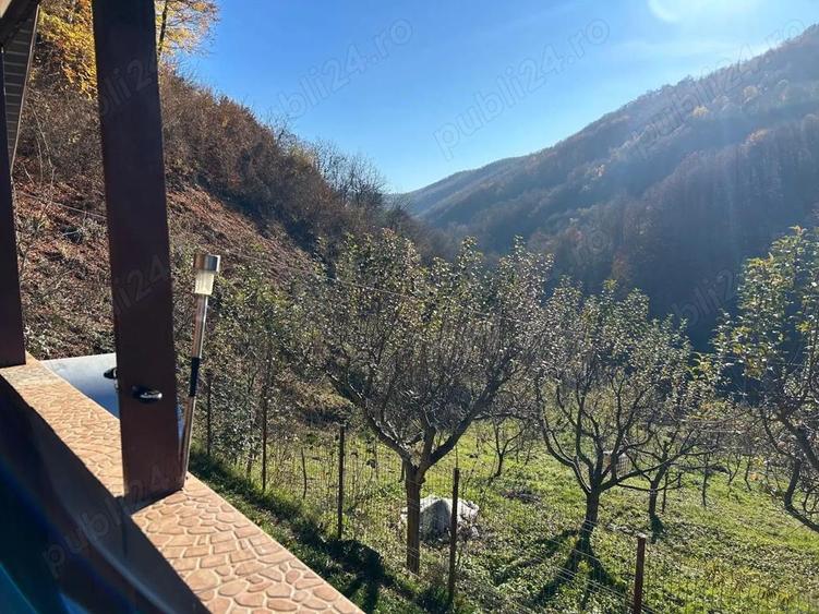 Casa de vacanta cu padure si livada - 4