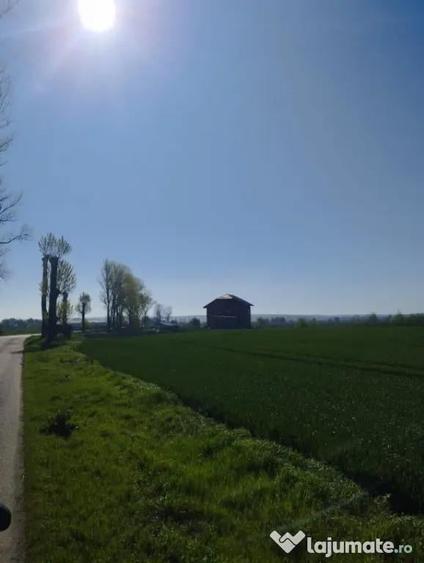 Vand teren intravilan 4000MP cu dechidere la Delta Neajlovu - 3