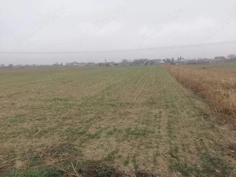 Teren de vanzare E85 Te?cani Neam? - 3