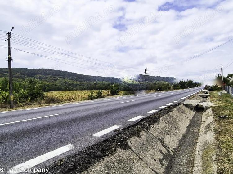 Teren 1,4 hectare Draganu Arges - 6