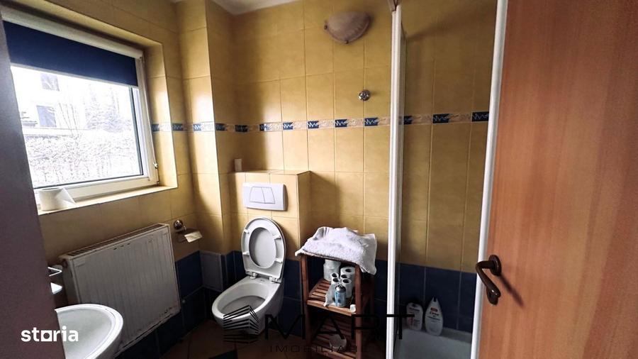 Casa de vacanta cu teren 2000mp Valea Avrigului - 2