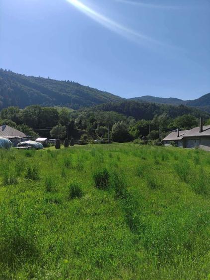 Teren de vanzare, intravilan, 1502 mp, Sat Straja Comuna Tarcau - 4