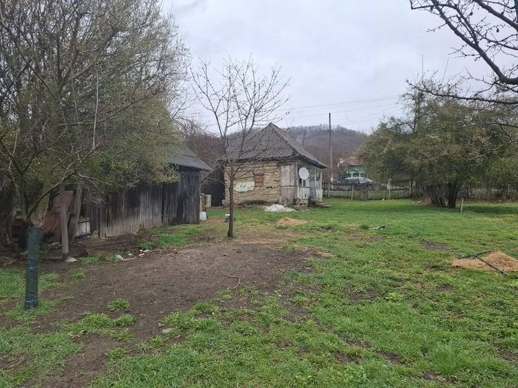 Teren de vanzare Gheboieni DB intravilan+extravilan - 4