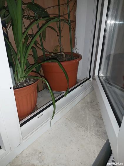 Vand apartament 2 camere - 5