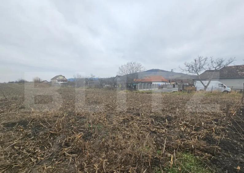 Teren extravilan 9000 mp, Ocna Mures - 3