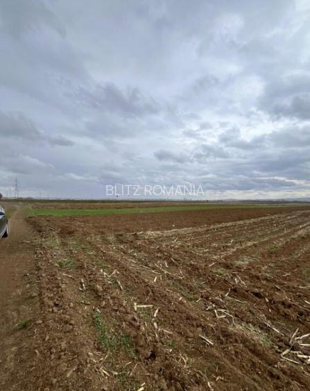Teren extravilan 2500 mp,cu acces la Centura ,Radauti