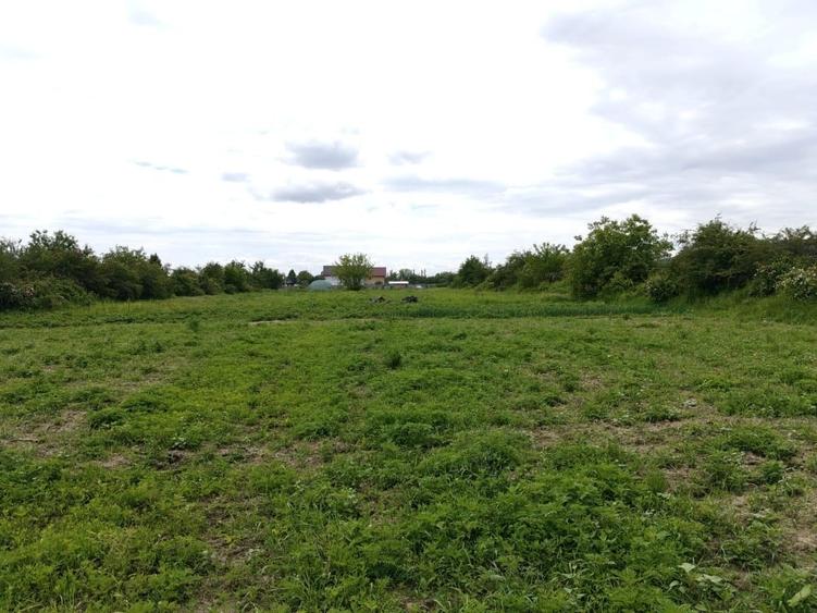 Teren intravilan langa Pitesti - Argeselu - 700 mp - 5